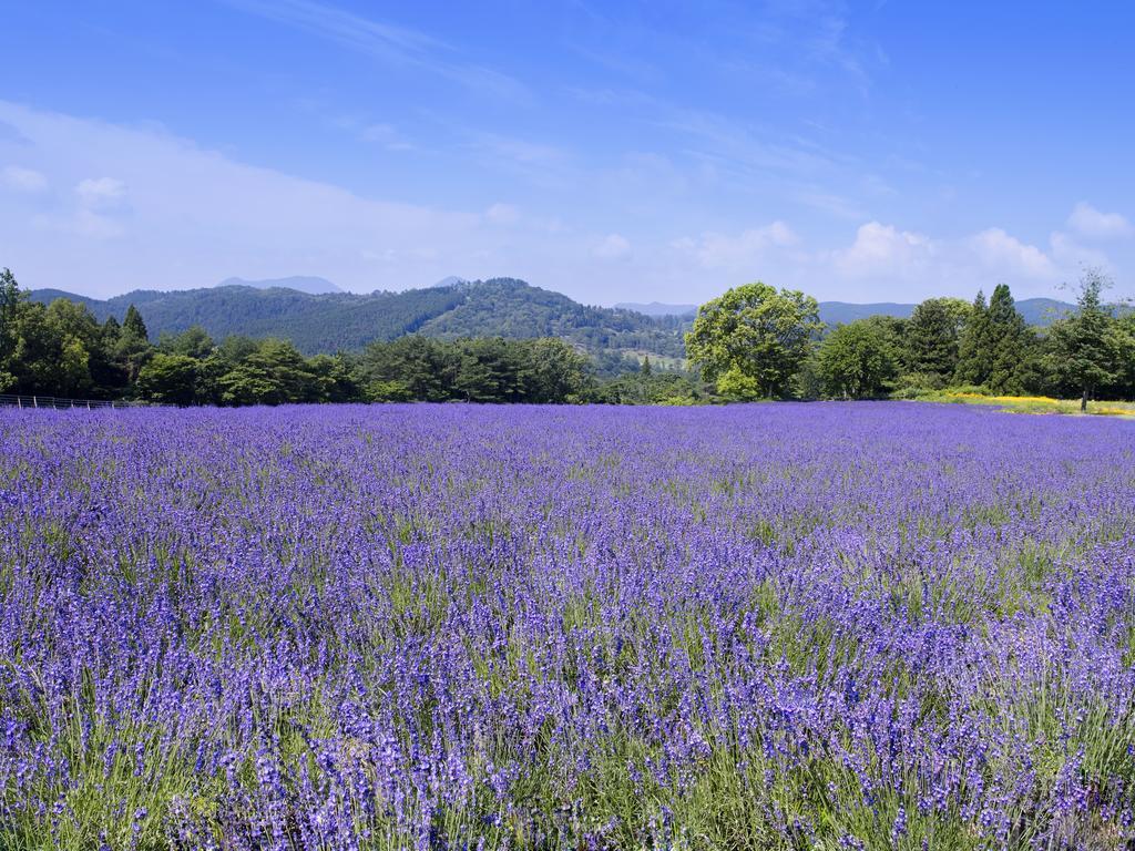 Wafukan Utatsukasa Iga Exterior foto